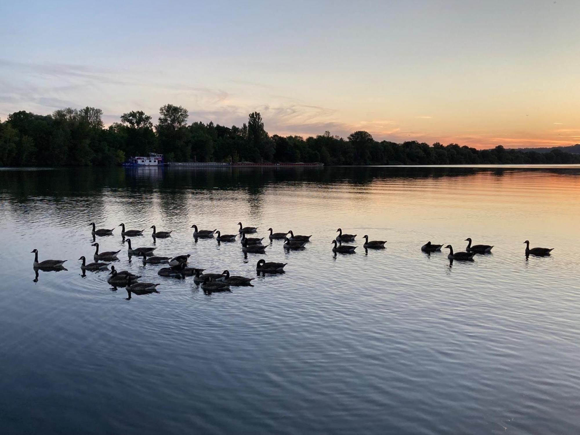 Seinehouse - Maison Flottante Vaux-Sur-Seine Экстерьер фото
